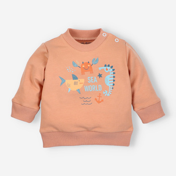 Marine ANIMALS sweatshirt in organic cotton for boy