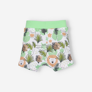 LION organic cotton baby shorts for boy
